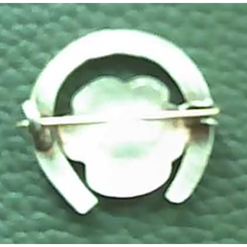 Vintage Horseshoe and Forget Me Not Brooch